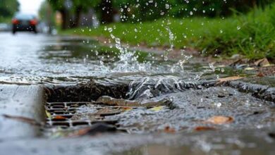 நாட்டில் இடைக்கிடை மழை பெய்யும் காட்சி