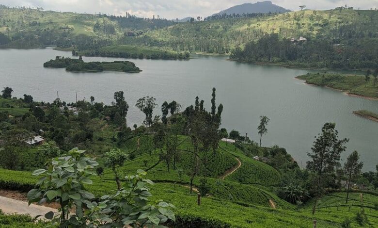 மலையக நீர்த்தேக்கங்கள் கொள்ளளவை எட்டியுள்ளன!