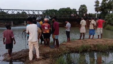 மாடு மேய்க்கச் சென்றவர் சடலமாக மீட்பு!