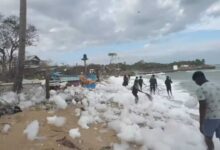 வெண் பஞ்சுத் திரளாக காட்சியளித்த கடற்கரை!