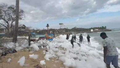 வெண் பஞ்சுத் திரளாக காட்சியளித்த கடற்கரை!