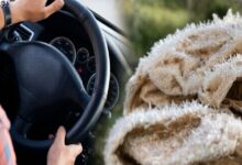 நுவரெலியாவில் நிலவும் குளிரான காலநிலை: உறைபனிப் பொழிவு!