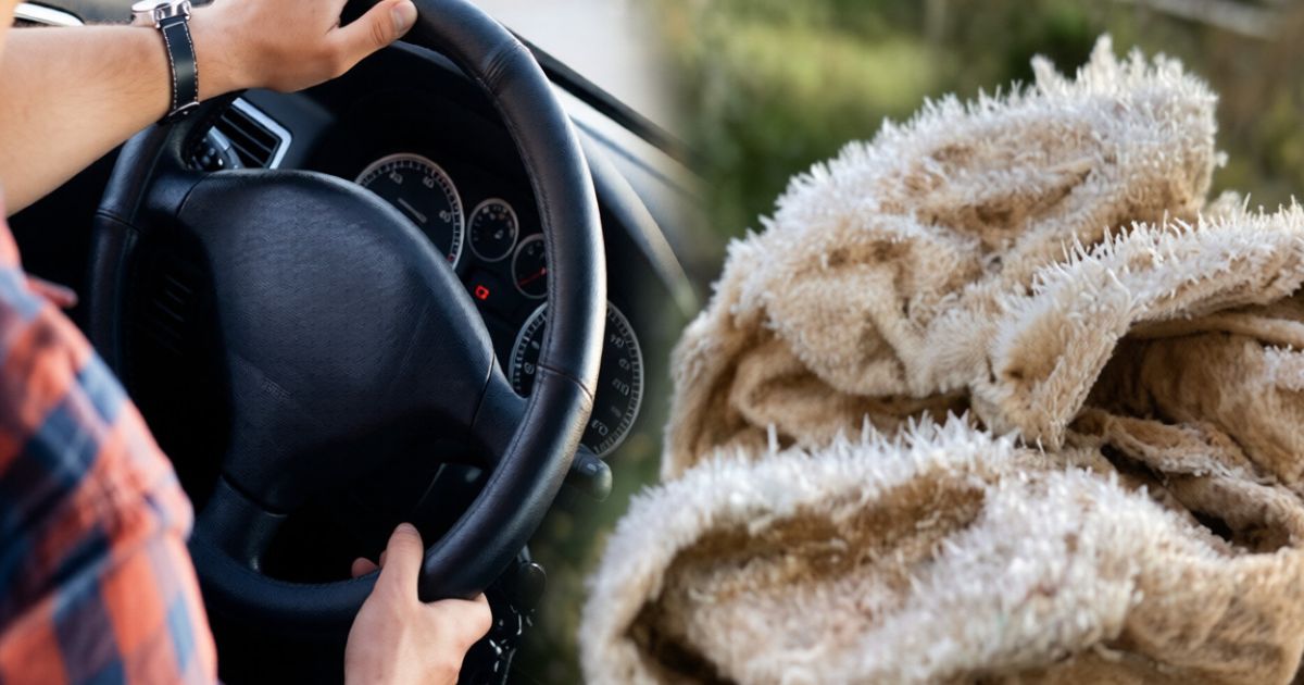 நுவரெலியாவில் நிலவும் குளிரான காலநிலை: உறைபனிப் பொழிவு!