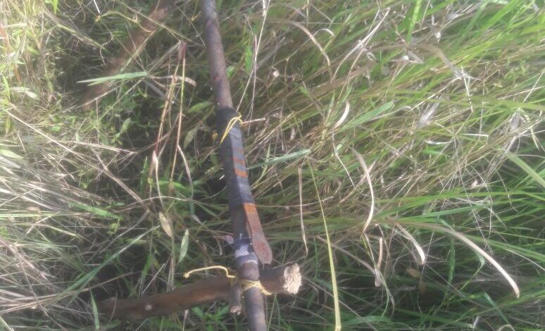 கட்டு துவக்கில் சிக்கி சுண்டிக்குளத்தில் குடும்பஸ்தர் படுகாயம்!