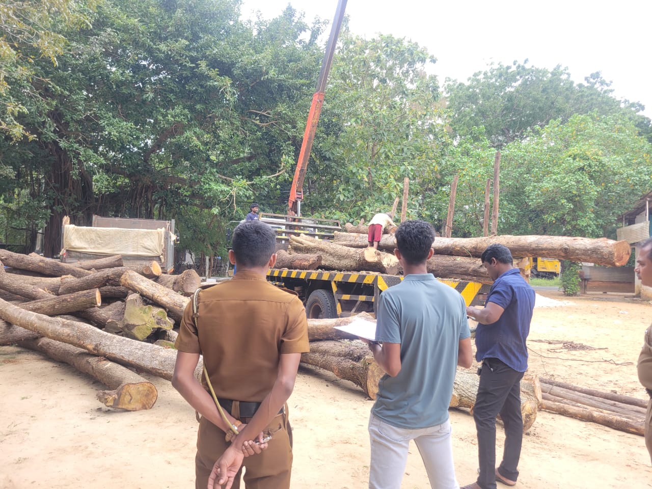 கடத்தப்பட்ட 30 இலட்சம் பெறுமதியான மரக்குற்றிகள் மீட்பு!