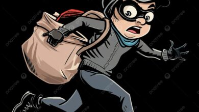 ஜப்பானில் திருட்டில் ஈடுபட்ட இலங்கை இளைஞர் கைது!