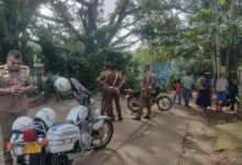 கந்தளாய் வைத்தியசாலை முன்பாக மரம் முறிந்து வீழ்ந்ததால் வாகனங்கள் சேதம்!