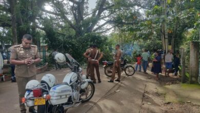 கந்தளாய் வைத்தியசாலை முன்பாக மரம் முறிந்து வீழ்ந்ததால் வாகனங்கள் சேதம்!