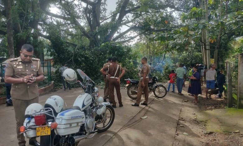 கந்தளாய் வைத்தியசாலை முன்பாக மரம் முறிந்து வீழ்ந்ததால் வாகனங்கள் சேதம்!