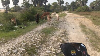 பொற்பதி - மணற்காடு வீதியைப் புனரமைக்க கோரிக்கை!