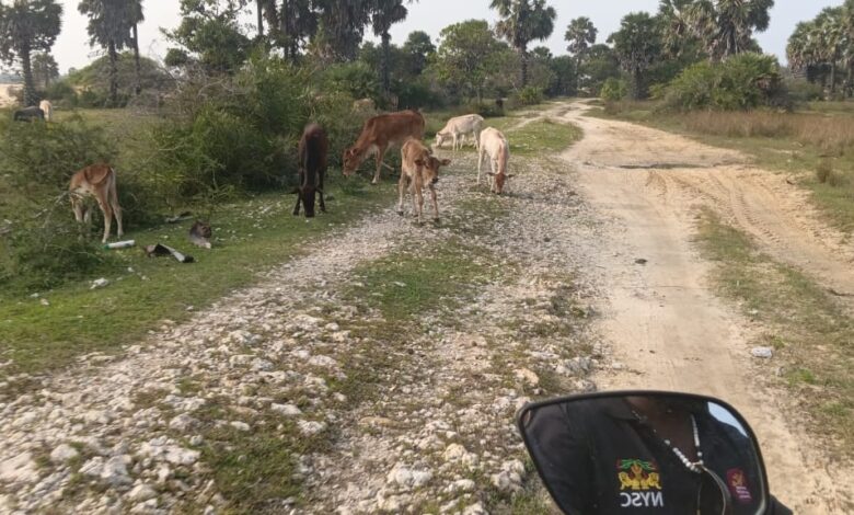 பொற்பதி - மணற்காடு வீதியைப் புனரமைக்க கோரிக்கை!