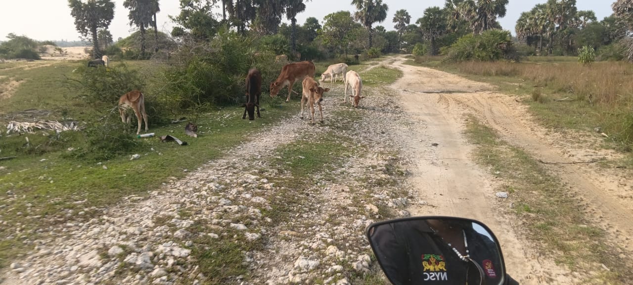 பொற்பதி - மணற்காடு வீதியைப் புனரமைக்க கோரிக்கை!