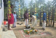 நாவற்காடு கிராம தைப் பொங்கல் விழா!