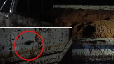 விசுவமடுவில் ஹன்ரர் மீது துப்பாக்கிச் சூடு!