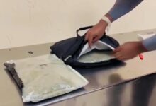 கட்டுநாயக்கவில் 10 மில்லியன் ரூபா பெறுமதியான போதைப்பொருளுடன் ஒருவர் கைது!