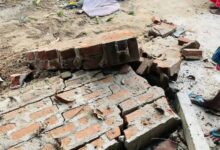 யானை தாக்கிப் பெண் பலி: இருவர் காயம்!