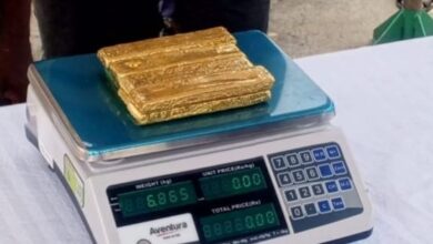 யாழிலிருந்து இந்தியாவுக்கு கடத்த முற்பட்ட பெருந்தொகை தங்கம் மீட்பு!