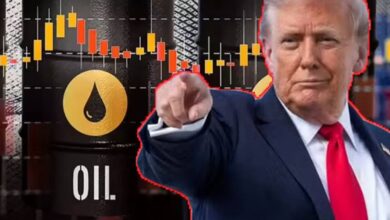 மீண்டும் 100 டொலர்களை தாண்டிய மசகு எண்ணை விலை!