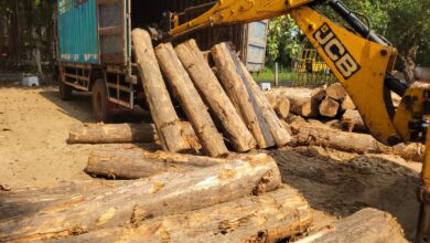 20 இலட்சம் ரூபா பெறுமதியான 52 தேக்கு மரக் குற்றிகளைக் கைப்பற்றிய சாவகச்சேரி பொலிஸ்!