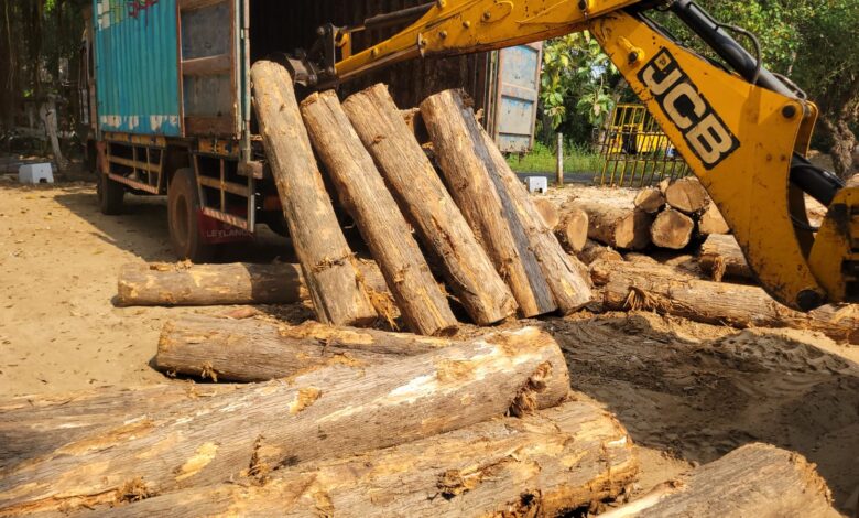 20 இலட்சம் ரூபா பெறுமதியான 52 தேக்கு மரக் குற்றிகளைக் கைப்பற்றிய சாவகச்சேரி பொலிஸ்!