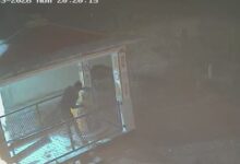 ஆலய விக்கிரகத்தை உடைத்தவர் கைது