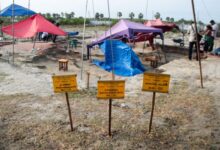 செம்மணி மனிதப் புதைகுழி மூன்றாம் கட்ட அகழ்வு ஏப்ரல் 20 முதல்!