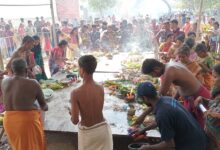 மட்டுவில் பன்றித்தலைச்சி கண்ணகி அம்மன் பங்குனித் திங்கள் உற்சவம்!