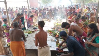 மட்டுவில் பன்றித்தலைச்சி கண்ணகி அம்மன் பங்குனித் திங்கள் உற்சவம்!