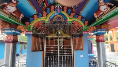 கொடிகாமம் பசிக்கேணி பரமசுவன் ஆலய மகா கும்பாபிசேகம்!