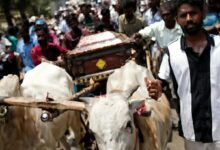 வாழ்நாள் முழுவதும் உணவளித்த எஜமானின் உடலை சுமந்து சென்ற காளைகள்!