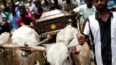 வாழ்நாள் முழுவதும் உணவளித்த எஜமானின் உடலை சுமந்து சென்ற காளைகள்!