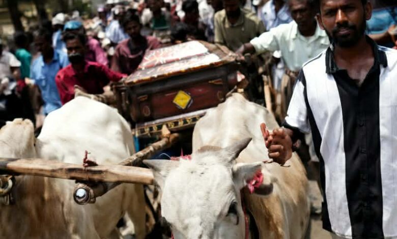 வாழ்நாள் முழுவதும் உணவளித்த எஜமானின் உடலை சுமந்து சென்ற காளைகள்!