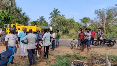 சகோதரனின் கத்திக் குத்துக்கு இலக்கான பெண் மரணம்!