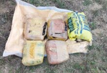 யாழ்.கொடிகாமம் பொலிஸ் நிலைய அயல் பாணியிலிருந்து கஞ்சா மீட்பு!