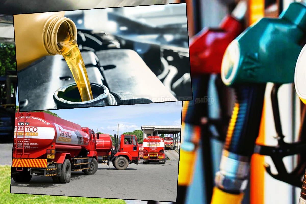 எரிசக்தி விலைகள் 24 சதவீதத்தால் உயரும் : உலக வங்கி எச்சரிக்கை!