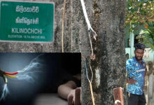 கிளிநொச்சியில் மின்சாரம் தாக்கி இளைஞன் பலி!