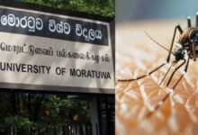டெங்கு பரவலால் மொரட்டுவை பல்கலைக்கழகம் மூடல்!