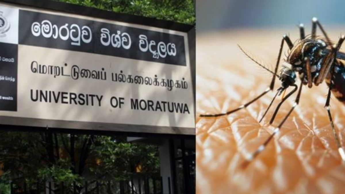 டெங்கு பரவலால் மொரட்டுவை பல்கலைக்கழகம் மூடல்!