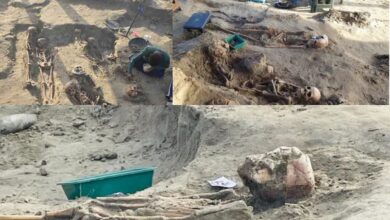 செம்மணி மனித புதைகுழி அகழ்வில் நேற்று 9 என்புக்கூடுகள் அடையாளம்!