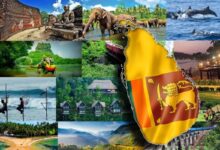 இலங்கையில் சுற்றுலாப் பயணிகளின் வருகை கடந்தமாதம் வீழ்ச்சி!