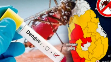 இலங்கையில் டெங்கால் 90 ஆயிரத்து 306 பேர் பாதிப்பு!
