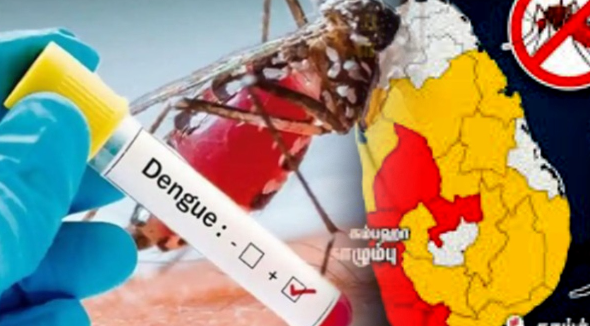 இலங்கையில் டெங்கால் 90 ஆயிரத்து 306 பேர் பாதிப்பு!