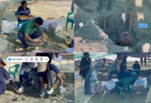 செம்மணியில் நேற்றும்10 என்புக் கூடுகள் அடையாளம்: அகழ்வு பணிகள் இன்றுடன் நிறைவு!