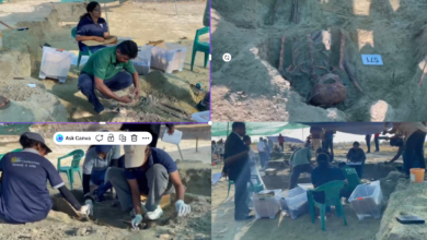 செம்மணியில் நேற்றும்10 என்புக் கூடுகள் அடையாளம்: அகழ்வு பணிகள் இன்றுடன் நிறைவு!