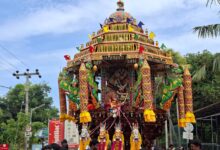 சாவகச்சேரி வாரிவனம் முத்துமாரியம்மன் இன்று தேர்!