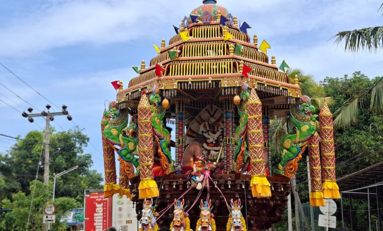 சாவகச்சேரி வாரிவனம் முத்துமாரியம்மன் இன்று தேர்!